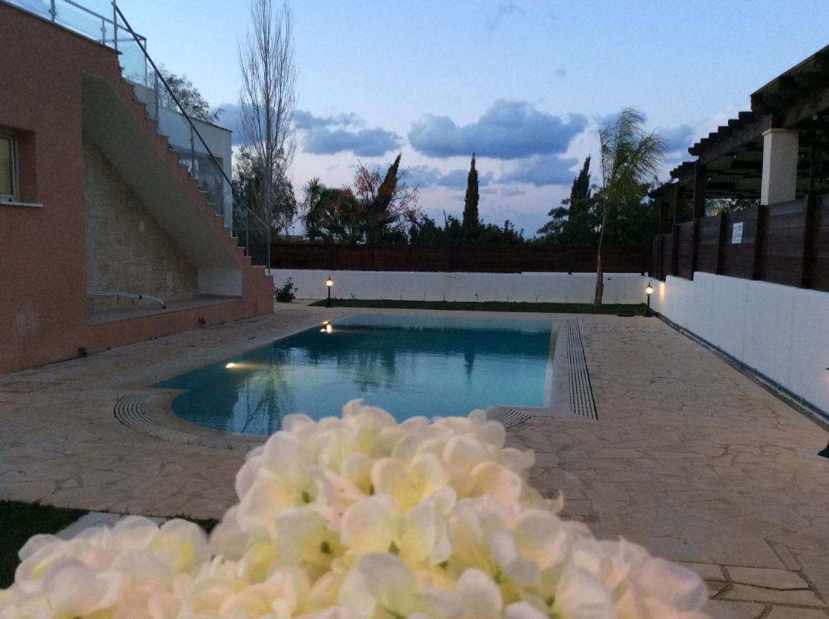 Dream House Latchi Villa Πόλη Εξωτερικό φωτογραφία